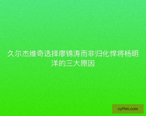 久尔杰维奇选择廖锦涛而非归化悍将杨明洋的三大原因
